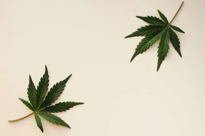 IM Cannabis Announces Closing of US$1.31 Million Registered Direct Offering of Common Shares