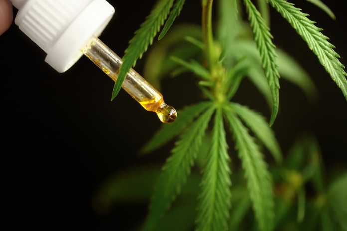 Aurora Cannabis Files Application with Alberta Securities Commission to Protect Company Shareholders Having Identified Several Deficiencies in Curaleaf's Hostile Bid Disclosure