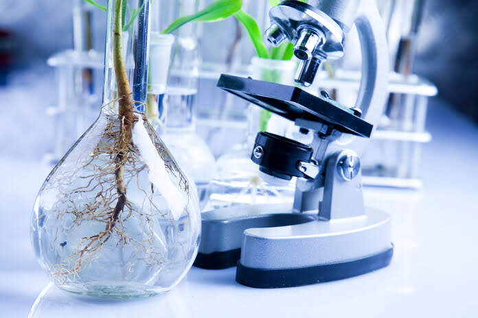 TuHURA Biosciences Receives Key U.S. Patent for its Groundbreaking Delta Opioid Receptor (DOR) Antibody Drug Conjugate (ADC) Technology